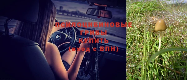 мет Елабуга