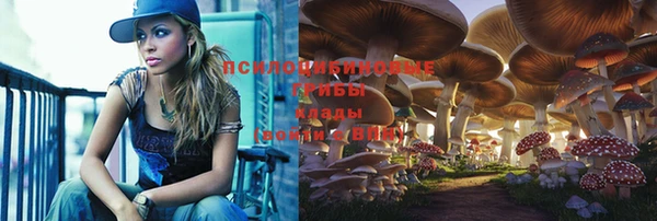 spice Балахна